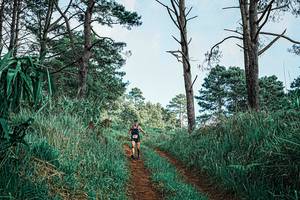 BIB: 
                            <button type="button" onclick="openModal(25653298)" class="btn btn-primary btn-sm float-right btn-popup" data-toggle="modal" data-target=".modal-high-quality">
                        <i class="fas fa-shopping-cart"></i> Add to Cart
                    </button>
                                            <button type="button" onclick="isThisMe(25653298, true)" class="btn btn-success btn-sm float-right btn-popup btn-isme hidden" data-toggle="tooltip" data-placement="bottom" title="นี่คือรูปของคุณใช่ไหม คลิกที่นี่เพื่อเอาเข้าอัลบั้ม">
                        <i class="fas fa-plus"></i> Add to album
                    </button>
                    <button type="button" onclick="isThisMe(25653298, false)" class="btn btn-warning btn-sm float-right btn-popup btn-isnotme hidden">
                        <i class="fas fa-ban"></i> Remove from album
                    </button>